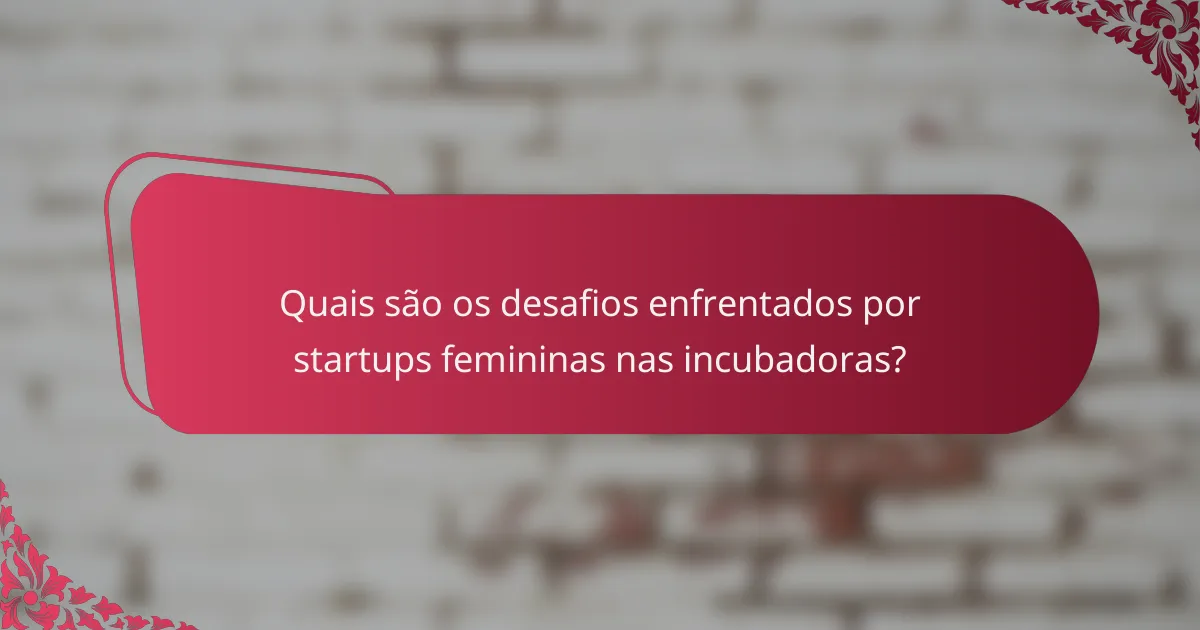 Quais são os desafios enfrentados por startups femininas nas incubadoras?