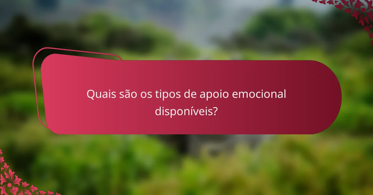 Quais são os tipos de apoio emocional disponíveis?